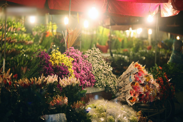 Dạo quanh 4 chợ hoa Tết Hà Nội nổi tiếng tươi, đẹp và rẻ