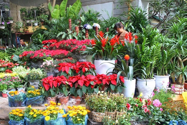 Dạo quanh 4 chợ hoa Tết Hà Nội nổi tiếng tươi, đẹp và rẻ