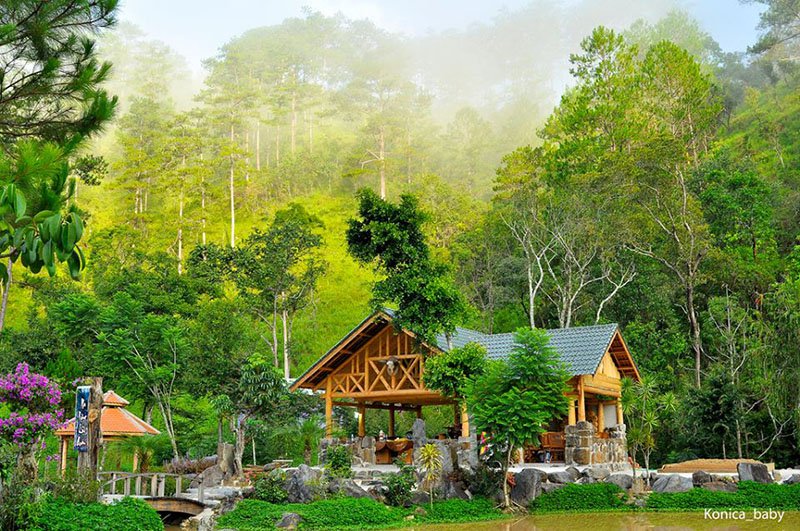 Ma rừng lữ quán Đà Lạt – xứ sở thần tiên giữa chốn rừng sâu