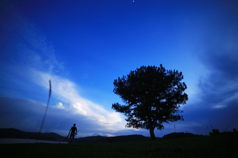 Review chi tiết đường đi tới cây cô đơn ở hồ Suối Vàng Đà Lạt