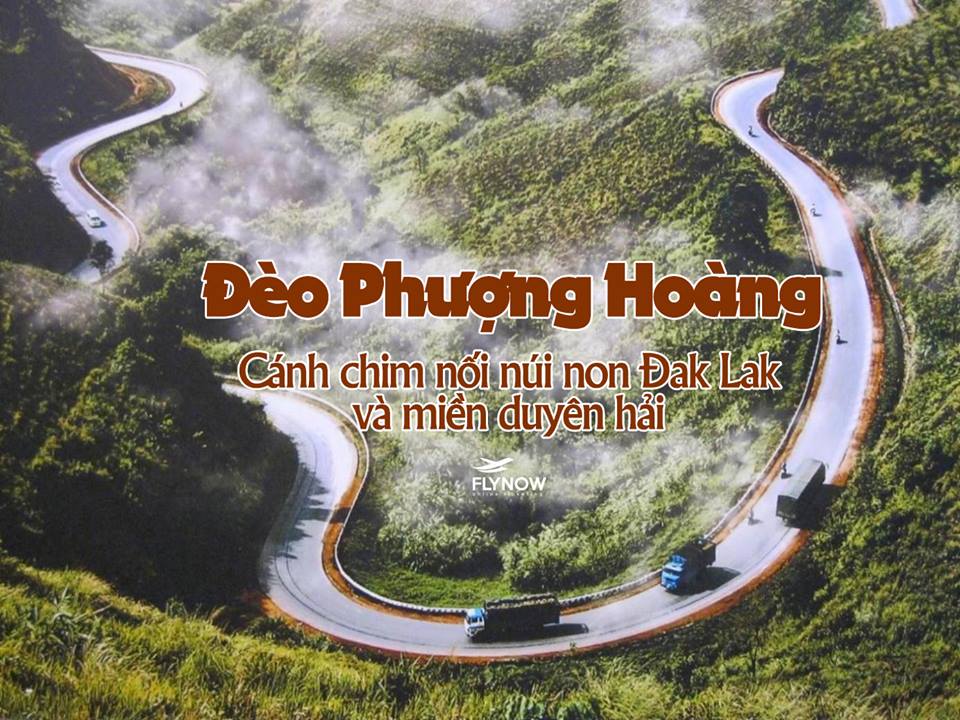 cung đường đèo Việt Nam đèo phượng hoàng
