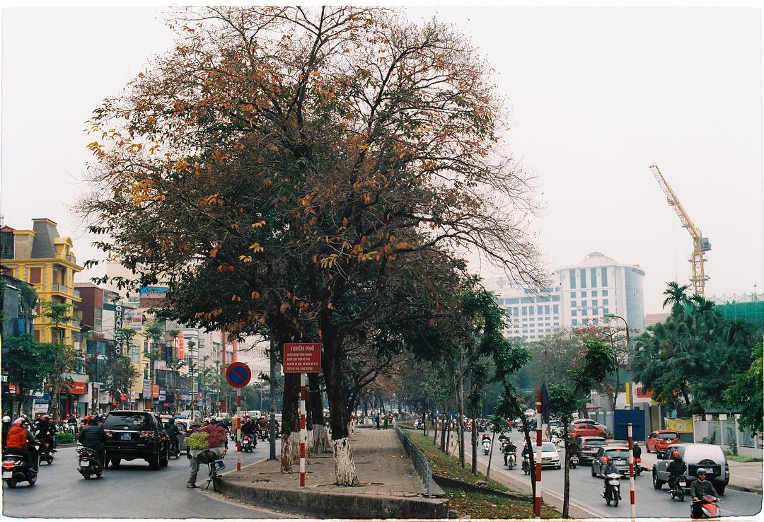 con đường Hà Nội
